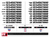 "OLD SKOOL" Graphic Kit for GasGas